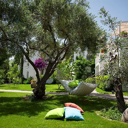 Mavi Turkbuku Hotel 4*