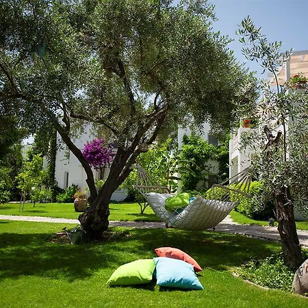 Mavi Turkbuku Hotell 3*