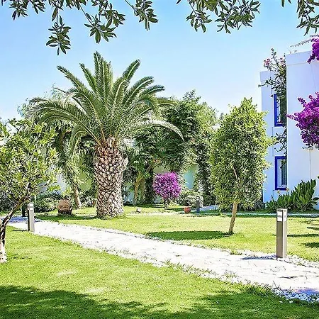 Hotel Mavi Turkbuku