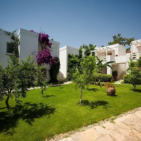 Hotel Mavi Turkbuku