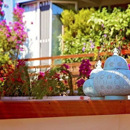 Mavi 3* Бодрум