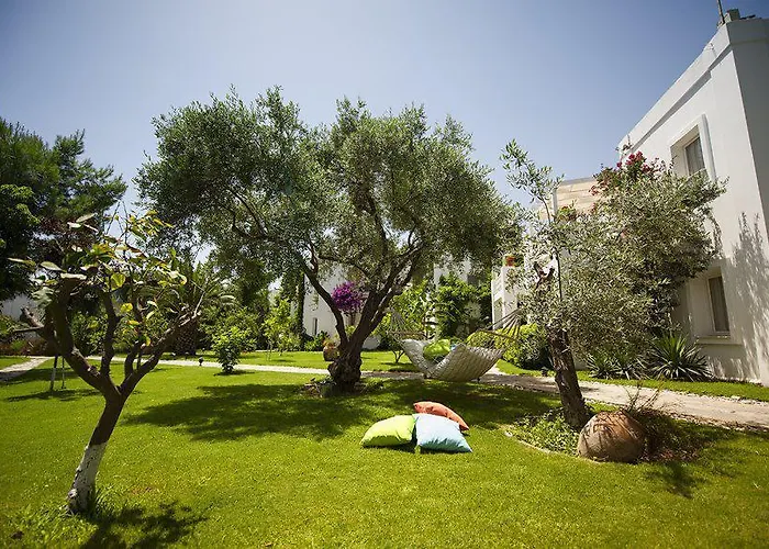 Mavi Otel Göltürkbükü