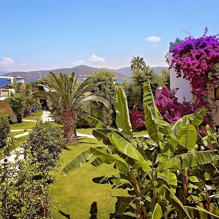 Mavi Turkbuku Hotel 4*