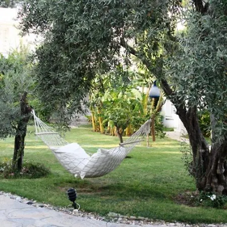 Hotel Mavi Turkbuku 4*