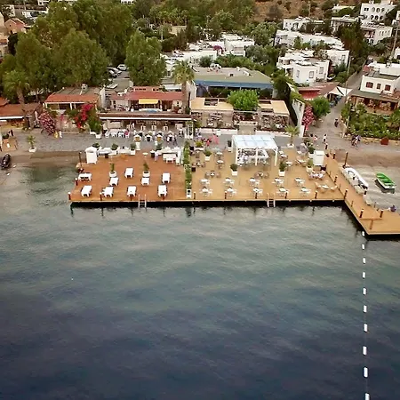 Mavi Turkbuku Hotel